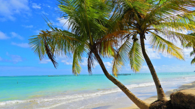 Macei - So Miguel dos Milagres